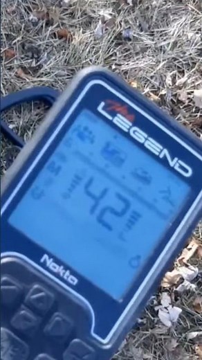 The legend #nokta #garrett #metaldetecting