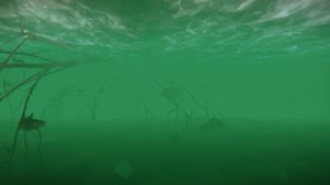 Revitalizing Philippine Fish Market and Tourism