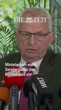 Backhaus stellt Senderdaten zum verstorbenen Buckelwal »Timmy« vor