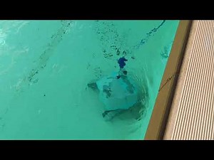 SEAMASTER CL DOLPHIN - POOL ROBOT