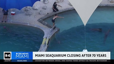 Miami Seaquarium to close after 70 years in business