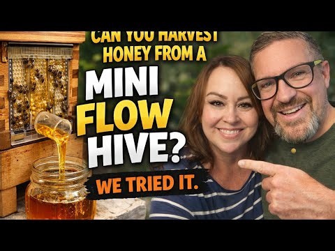 Can You Harvest Honey From a Mini Flow Hive? We Tried It.”