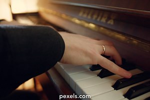 Piano Player Videos, Download The BEST Free 4k Stock Video Footage & Piano Player HD Video Clips