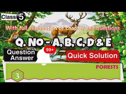 Ch- Forests |class-5|DAV| science| full chapter explanation and questions