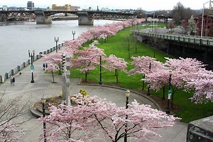 Tom McCall Waterfront Park in Portland, USA