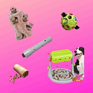 Cognitive Enrichment Activities for Dogs -   Including Clever Dog Enrichment Toys You Can Make Yourself!