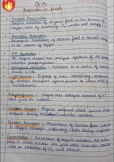 Biology class 11 || Respiration in Higher plants || Notes #notes_making # shorts