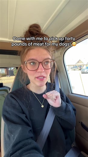 Picking Up Forty Pounds of Raw Meat for Dogs