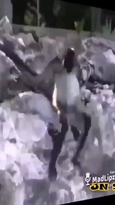 14M views · 10K reactions | É um aplicativo de vídeo curto com música, funk, sharyari e outros vídeos de compartilhamento pro WhatsApp. Melhor aplicativo para seu WhatsApp e Instagram com clipes de filme e filtros mágicos. Instale agora e divirta-se! | Kwai - 03 | Facebook