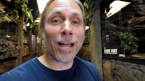 190K views · 4.8K reactions | Bruce works with our Crocodile Monitor Lizard. I show some of our new baby pythons and Colubrid projects that we are working on. BE APART OF BUILDING THE REPTARIUM - MY PATREON PAGE: https://www.patreon.com/Brian_Barczyk | Brian Barczyk | Facebook