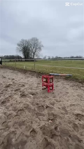 finni.im.stall (@finni9855)’s videos with Originalton - finni.im.stall