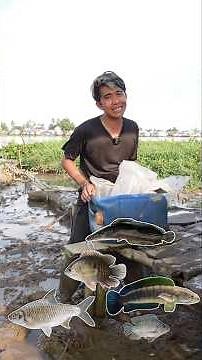 THIS IS AN ADVENTURE-RESULTED ORNAMENTAL FISH THAT WE CAN CATCH