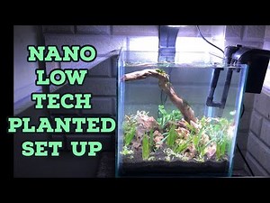 How To Set Up No CO2 Nano Planted Aquarium | Low Tech Planted Tank Tutorial | Planted Aquarium Guide