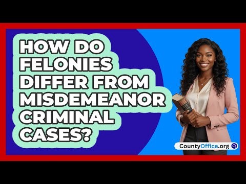 How do felonies differ from misdemeanor criminal cases?