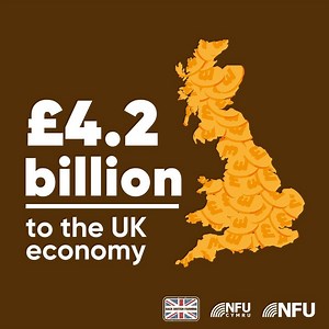 Did you know that the UK arable sector is worth £4.2 billion to the UK economy? Well, you do now 🙌🇬🇧🌾 #YourHarvest #BackBritishFarming | Back British Farming NFU