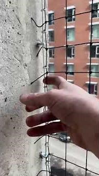 Effective Pigeon Balcony Exclusion: Wildlife Pro's Expert Netting Installation