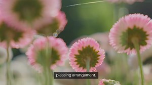 How to Create a Beautiful Outdoor Flower Bed