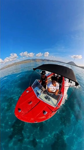 On the ocean, chasing life 🌊🦈✌️