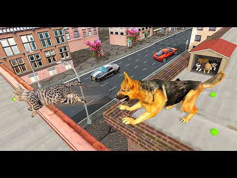 Dog Simulator Trailer