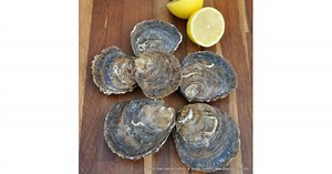 Loch Ryan Native Oysters (S-L)