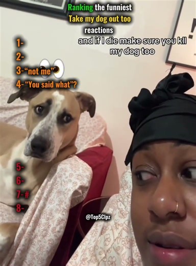 Take my dog out too funny reactions #funny #dog