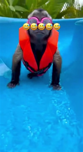 #fypシ #paratii #ai #xyzbca #waterslide