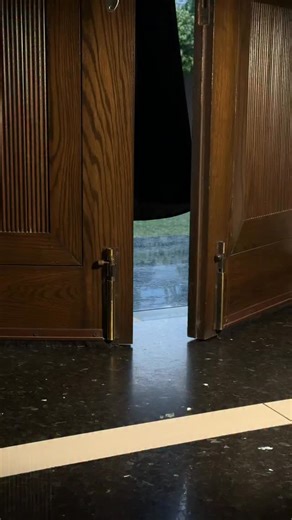 Because subtle was never your style. ✨ Meet Finesse Champagne, gold mule heels that redefine statement dressing. Bold, glamorous, and made to stand out. GRAB YOURS NOW! #paradoxlondonpk #luxe #statementshoes #blingcouture #paradoxgirl | Paradox London Pakistan