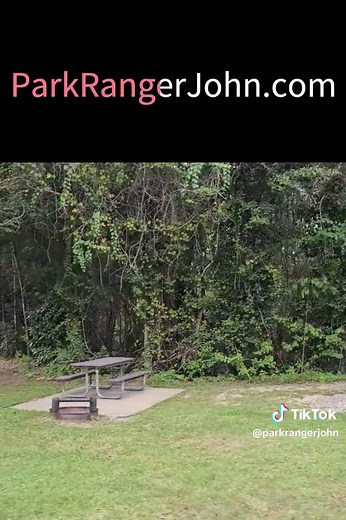 The Davis Bayou Campground in Gulf Islands National Seashore is located near Ocean Springs Mississippi, a cute coastal town! this beautiful Campground has all the amenities you want and need while still enjoying the outdoors #camping #rvlife #mississippi #oceanspringsmississippi #gulfislandsnationalseashore #davisbayou #davisbayounationalseashore