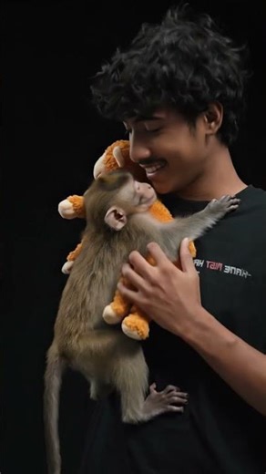 struggle of all animal😪 #viralshort #shortsfeed #shortsviral