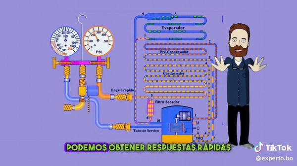 Método Termodinámico con Danfoss: Carga de Gas Refrigerante