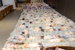 Chinese customs seize over 40,000 fake Labubu toys
