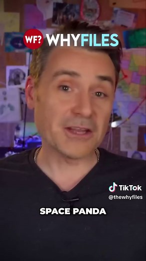 Who's the new guy? https://buff.ly/Lb5ZFb2 #TheWhyFiles #HeckleFish