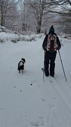 🧙‍♂️To understand skiing today, you must experience the telemark of yesterday. #telemarkskiing