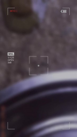 Catfish Close-Up: Unique Features and Habitat