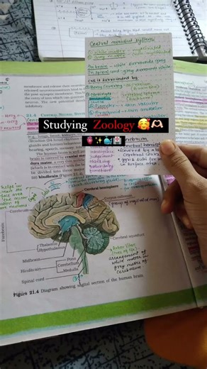 Studying Zoology Vs Studying Botany 😂😂