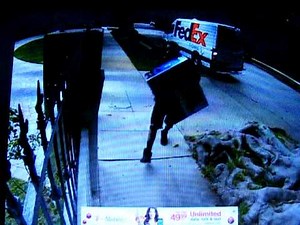 Fed-Ex driver throws fragile package over fence