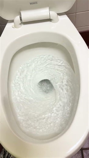 1989 Eljer Hy-San Toilet with Minerals coming out the siphon jet?????