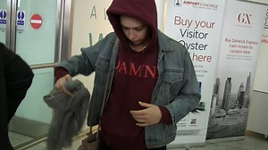 Ryan Phillippe's Ex-GF Elsie Hewitt Can't Hide After Assault Allegations