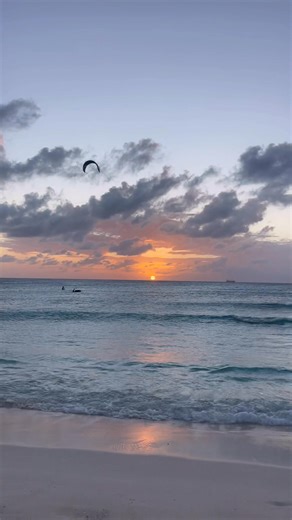 Big goals deserve a real celebration. Bring your team together with a private spa experience designed to relax, reconnect, and kick off a successful year ahead. Pure Indulgence Spa Divi Aruba Phoenix Beach Resort Divi Resorts | Pure Indulgence Spa