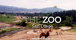 Animal Planet series showcases San Diego Zoo's conservation efforts