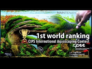 Maintenance untuk Aquascape Contest