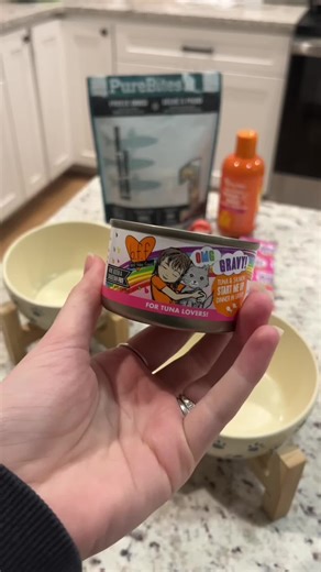 Delicious Cat Food for Dinner ASMR