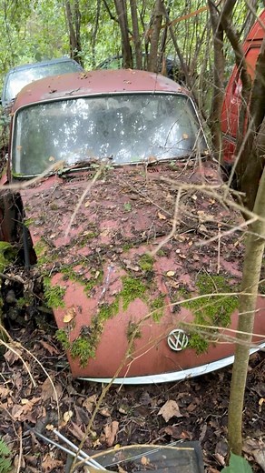 Abandoned Vehicle Graveyard #automotive #automobile #cargram #carguy #cargraveyard #barnfind #car #cars #classiccar #oldcar #nostalgia #vintage #retro #classic #fyp #fblifestyle #abandoned #abandonedcar #abandonedplaces #1960s #1970s #viralreelschallenge #explorereels #viralreel #explorepage #exploremore #urbex #exploretheworld #viral #viralvideo #viralreels #volkswagen #subaru #untouched #found | Exploring With Boss
