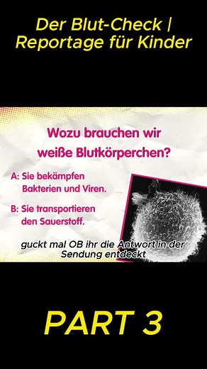 Der Blut-Check | Reportage für Kinder