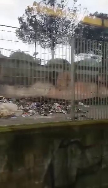 Poco prima di arrivare alla fermata di Barra potete ammirare quest'incantevole paesaggio post-atomico. | Circumvesuviana. Guida alle soppressioni e ai misteri irrisolti