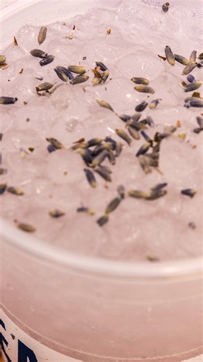 I'm never not craving a Fizzy Refresher 👀 *Refreshers are caffeinated. Can be made Caffeine free upon request. | HTeaO