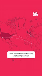 13K views · 589 reactions | Anti-LGBT+ coalitions in the US and globally pour millions into eroding LGBT+ rights under so called "traditional values.'' | All Out | Facebook