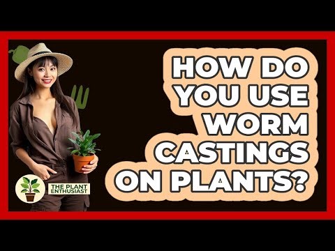 How Do You Use Worm Castings On Plants?