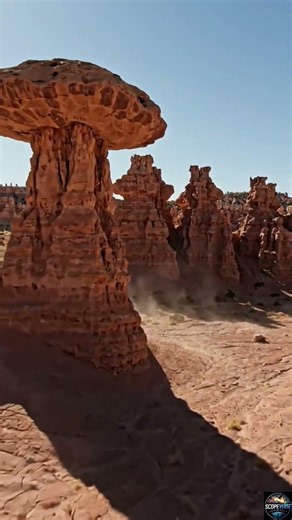 The Desert Where the Ground Looks Like a Giant Honeycomb #shorts
