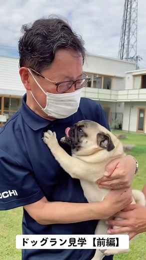 知事が四万十市でドッグラン見学！（前編）#四万十市#WANLIFE#ドッグラン#ペットホテル#パグ